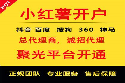 某电商平台信息流广告的精准推广策略